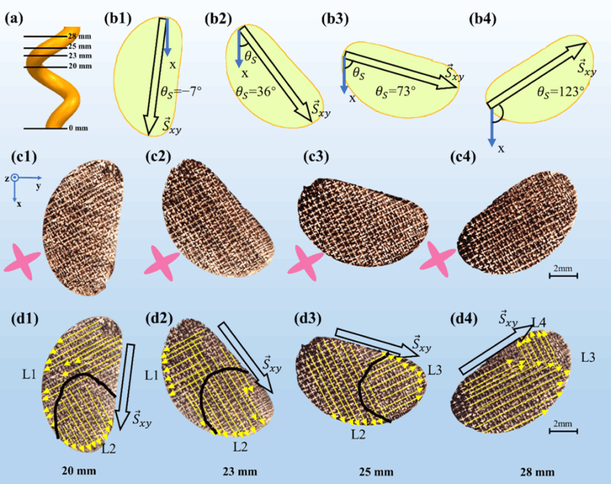 8188cc威尼斯(中国)有限公司官网