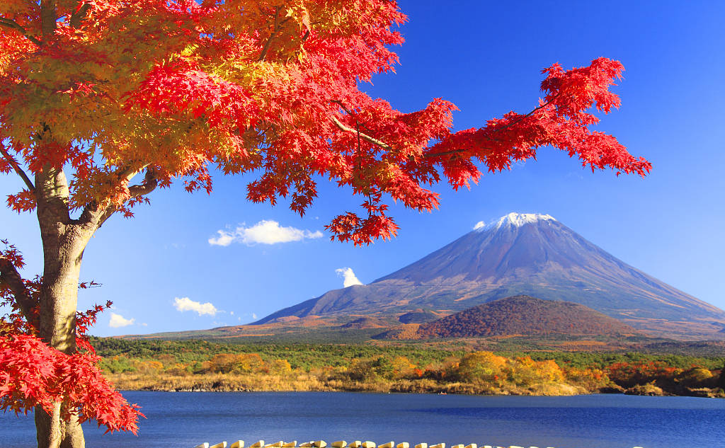 8188cc威尼斯(中国)有限公司官网