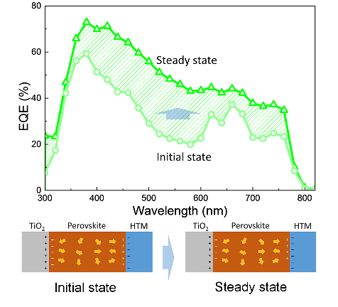 8188cc威尼斯(中国)有限公司官网