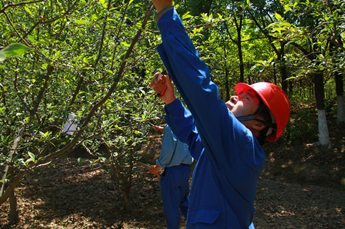 8188cc威尼斯(中国)有限公司官网
