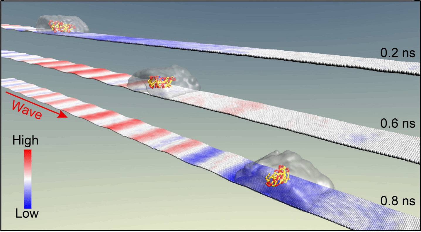 8188cc威尼斯(中国)有限公司官网