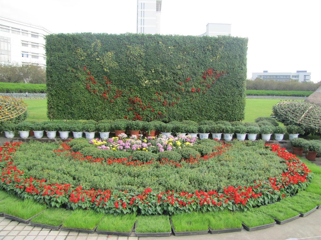 8188cc威尼斯(中国)有限公司官网