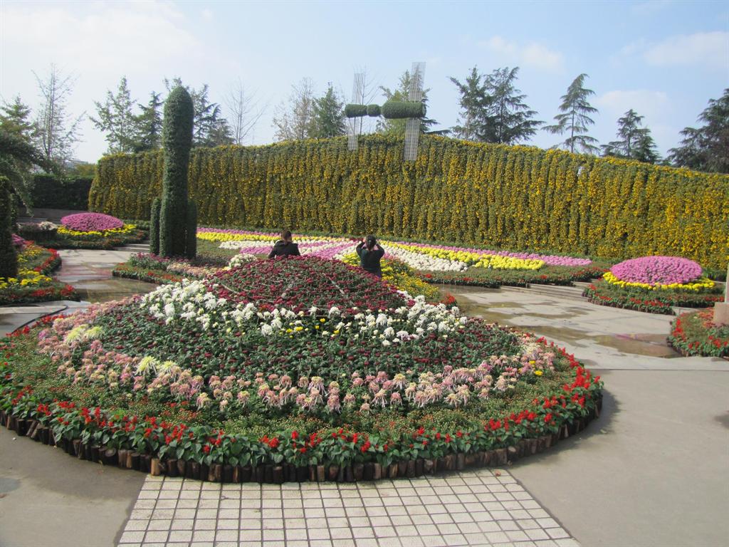 8188cc威尼斯(中国)有限公司官网