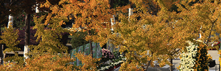 8188cc威尼斯(中国)有限公司官网