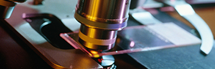 8188cc威尼斯(中国)有限公司官网